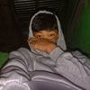 mass_oteee