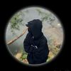 tuhin__10.love