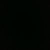 pial_121