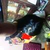 lexiang12