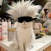 nfsrcute