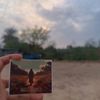 .saba..313
