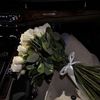 haneen_ibrahim5