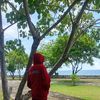 fahmiallvloq