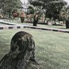 irma.arkana