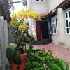 quyt.nguyn.trong