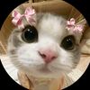 nusu_037