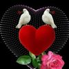 user37510817541356