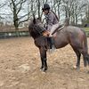 radhika_equestrian0
