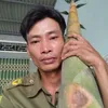 trn.quang.tin7
