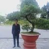bonsai.qung.ninh