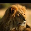 romelus.samuel