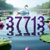 37713745y4