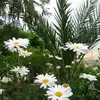 user67612731328177