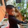 dairies_withdiyaa