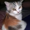 m3lly.cantik