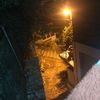 miska_897