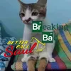 hellnah_breakingbad