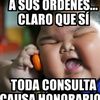 raulpena68