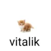 vitalik_69_666