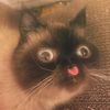 lulu_mew