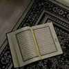 radoun1616
