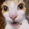 bobojones17