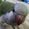 jorge.gonzalez20080