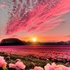 lisatgood1231