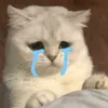 maylmjdctao
