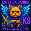 k9perromx