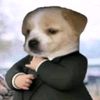 criminal_rojo_py