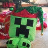 happy_creeper2972