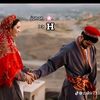 peer.seeb.009