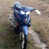 blueowl377