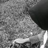 sary61269.punya