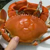 thichcauca8386