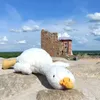 goose_from_belarus