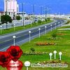 ghulam.murtaza.du