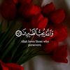 basid06568