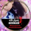 olfa.sadek