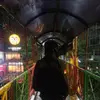 mujibxciro