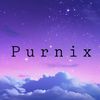 purnix1039