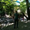 mamedov.892.65
