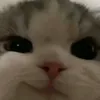 chupa_10b