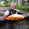 OmDayuFishery
