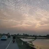 vn.ho.nguyn