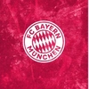 bayern201125