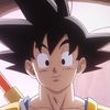gokufromdaima