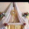 user4084194011916